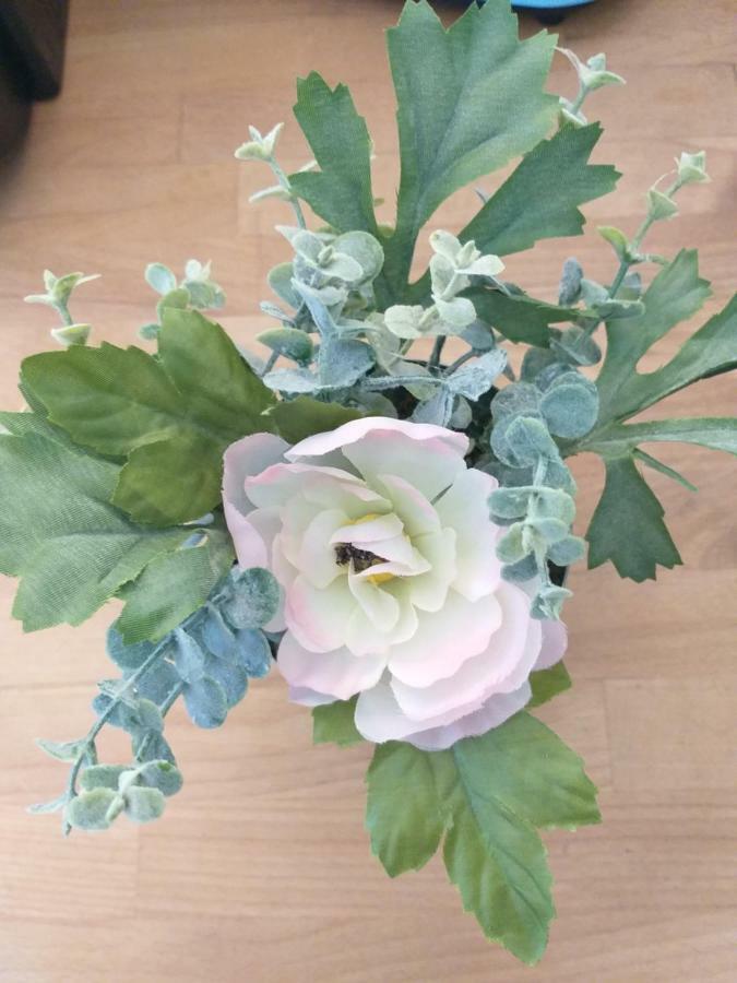 La Maison Des Jeanne 바이외 외부 사진